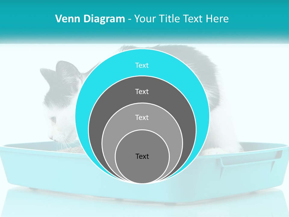 Mother Caucasian Retirement PowerPoint Template