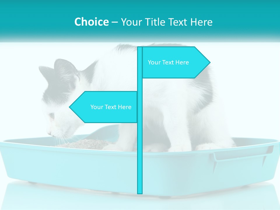 Mother Caucasian Retirement PowerPoint Template