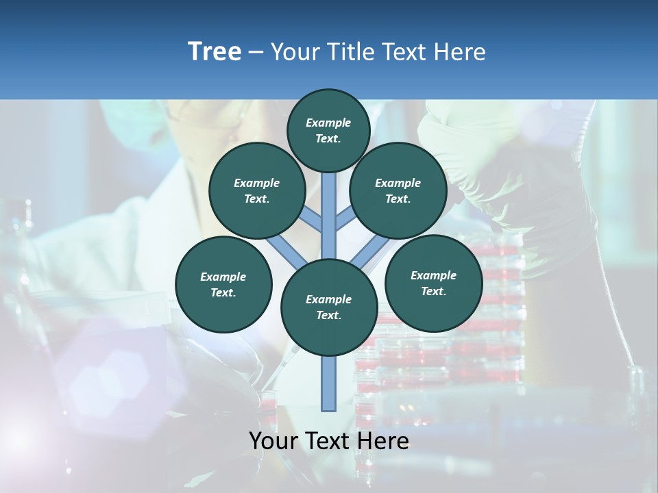 White Wave Senior PowerPoint Template