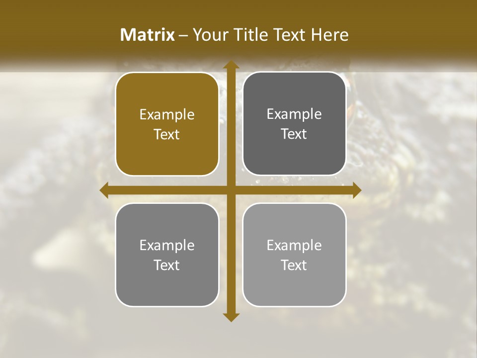 Single Water Caucasian PowerPoint Template