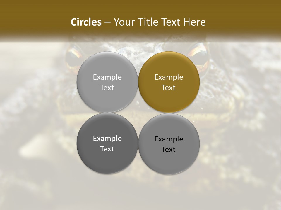 Single Water Caucasian PowerPoint Template