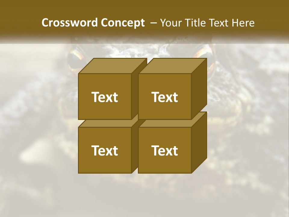 Single Water Caucasian PowerPoint Template