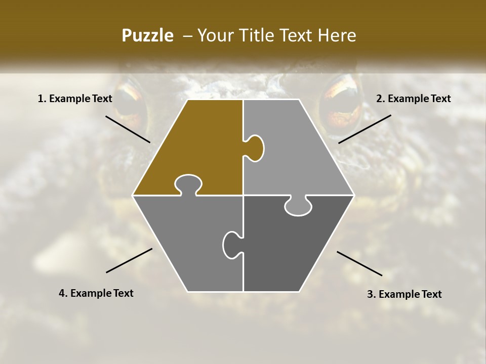 Single Water Caucasian PowerPoint Template