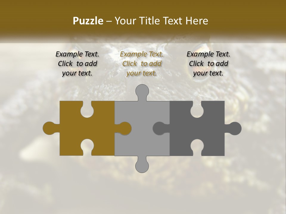 Single Water Caucasian PowerPoint Template