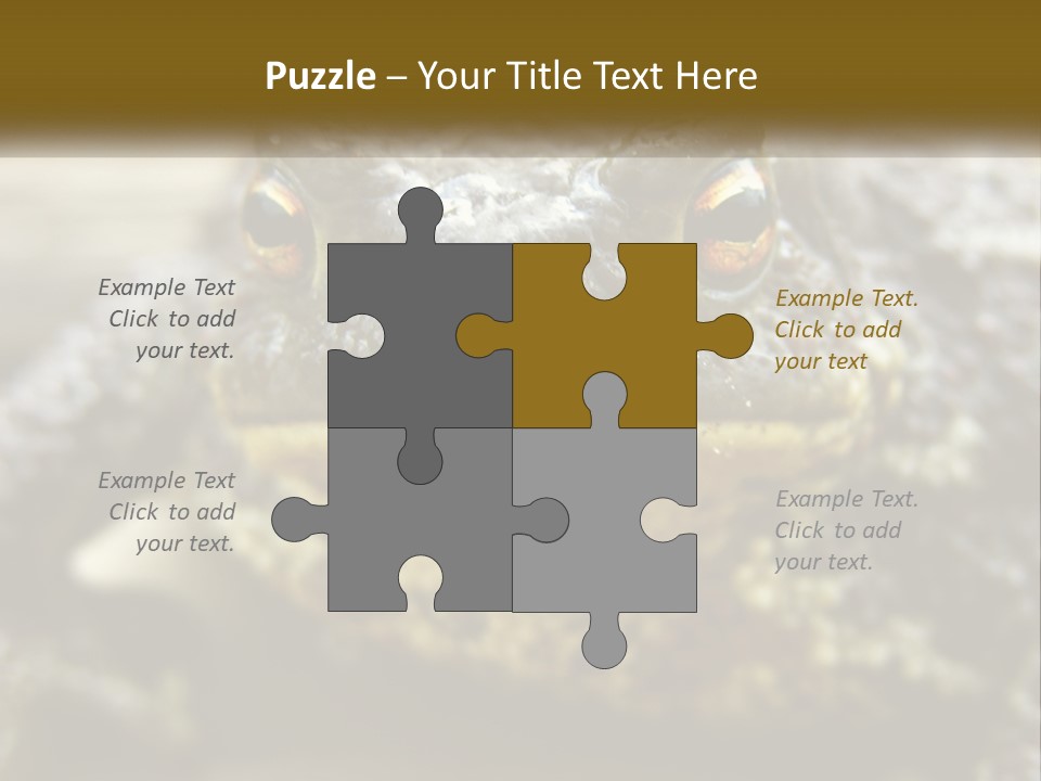 Single Water Caucasian PowerPoint Template