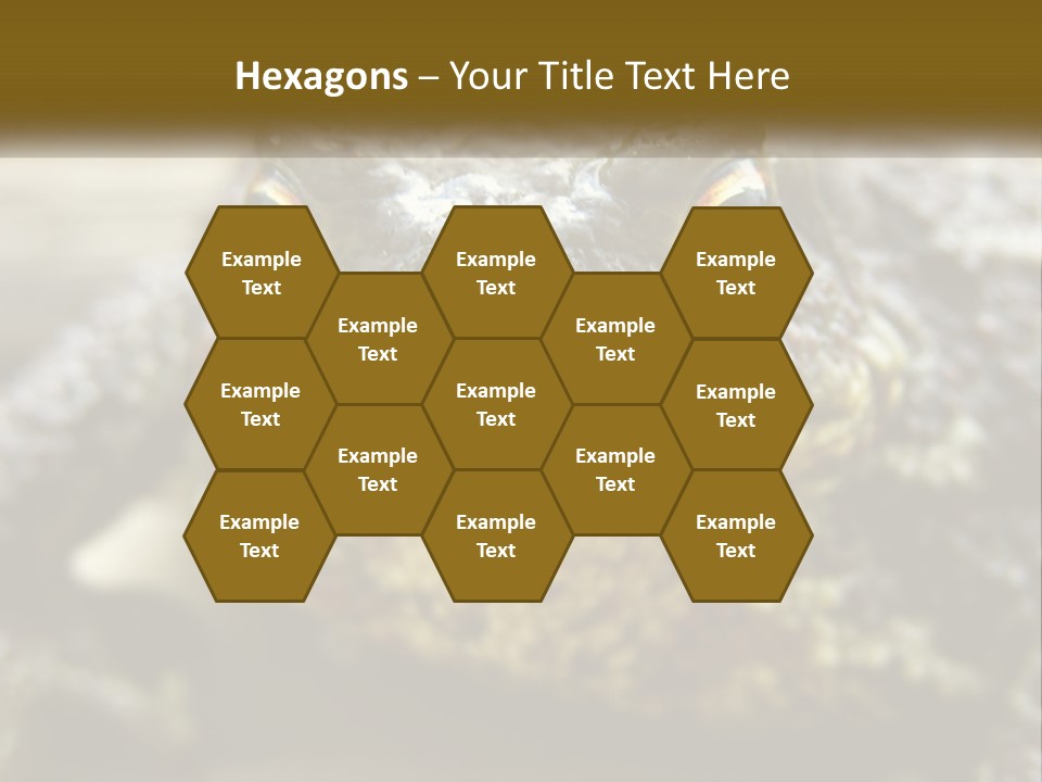 Single Water Caucasian PowerPoint Template