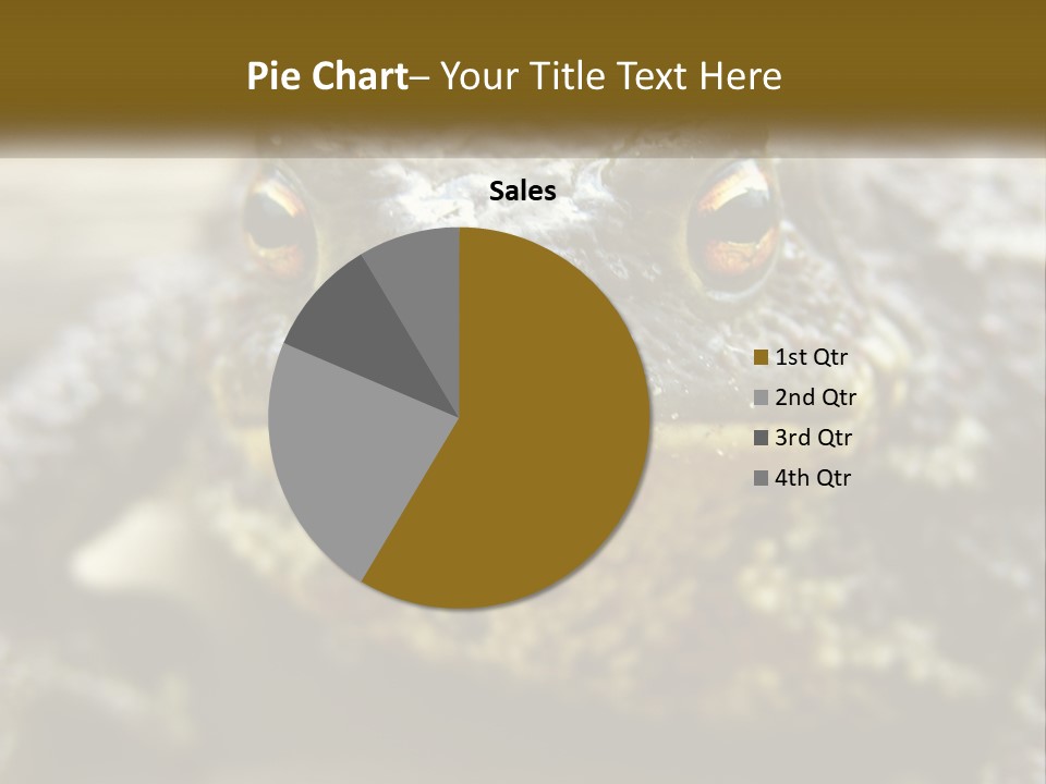 Single Water Caucasian PowerPoint Template