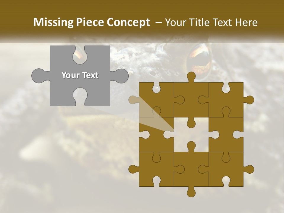 Single Water Caucasian PowerPoint Template