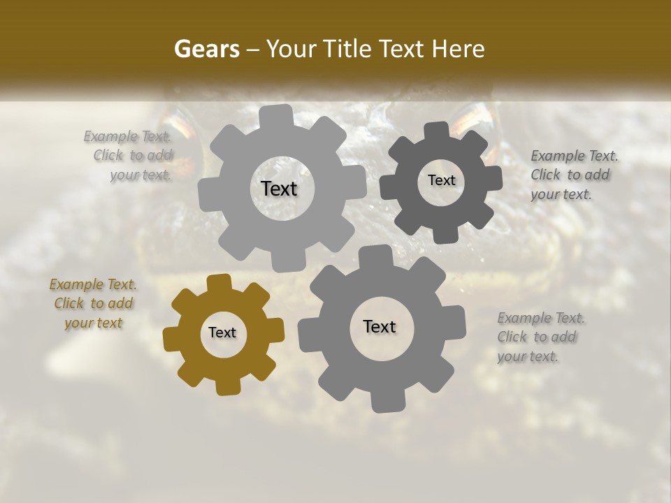 Single Water Caucasian PowerPoint Template