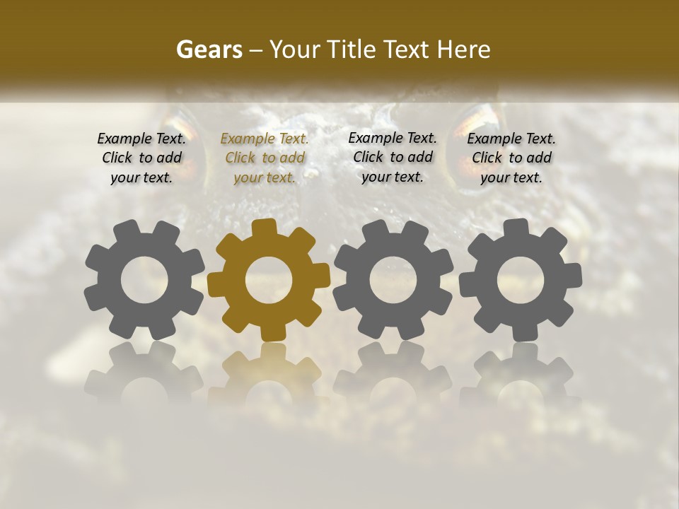 Single Water Caucasian PowerPoint Template