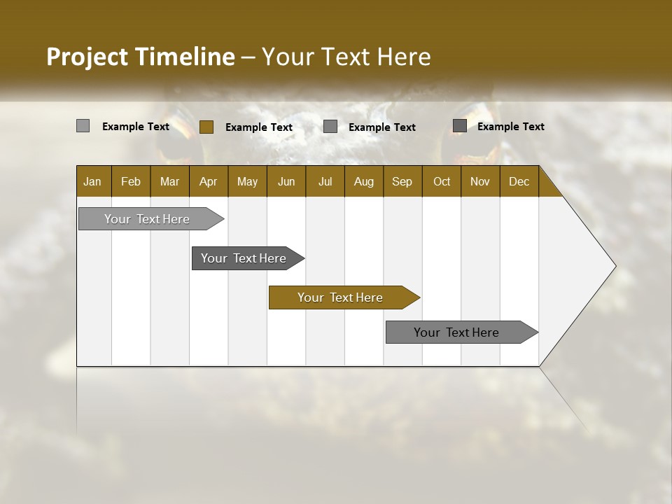 Single Water Caucasian PowerPoint Template