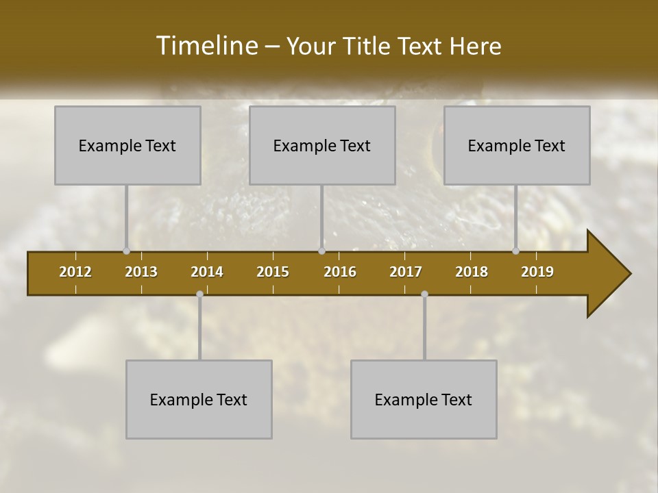 Single Water Caucasian PowerPoint Template