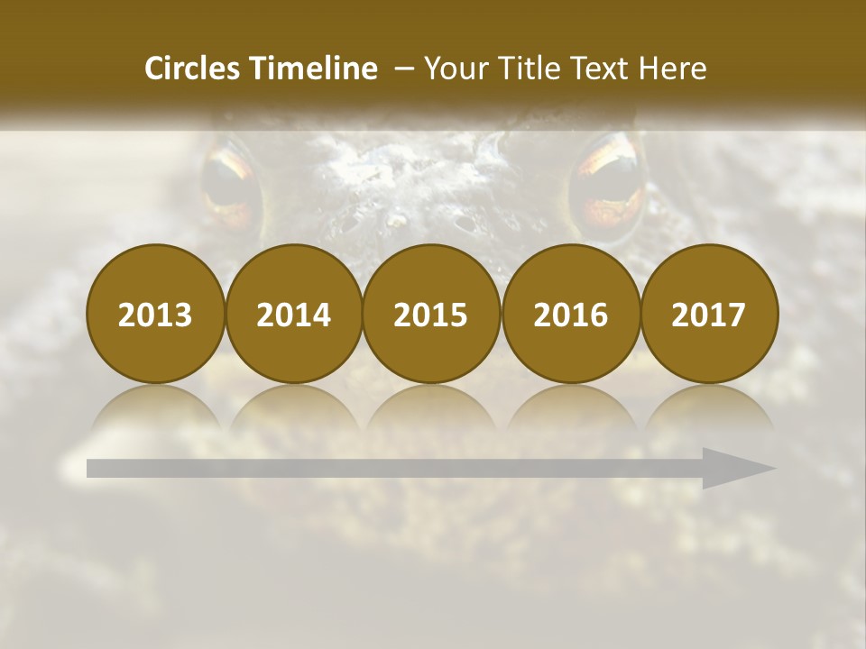 Single Water Caucasian PowerPoint Template