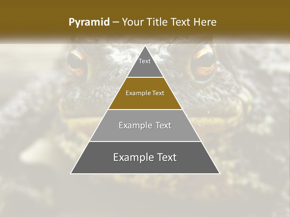 Single Water Caucasian PowerPoint Template