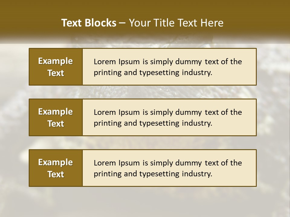 Single Water Caucasian PowerPoint Template