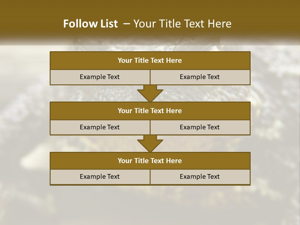 Single Water Caucasian PowerPoint Template