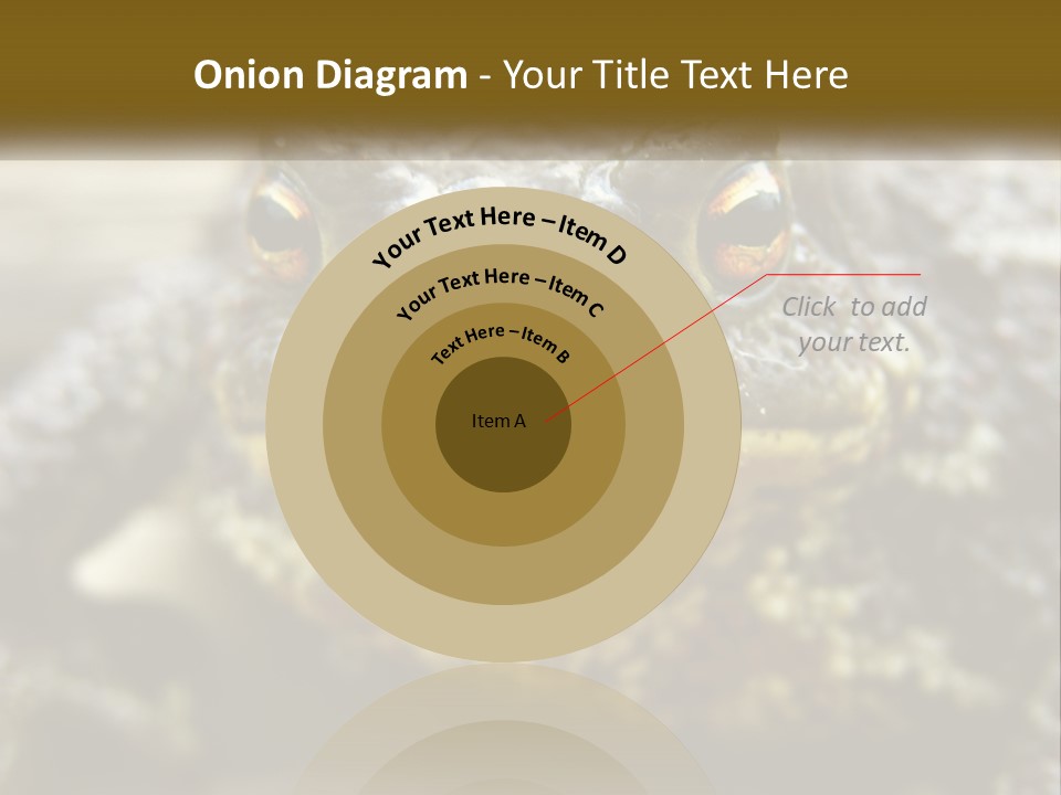 Single Water Caucasian PowerPoint Template