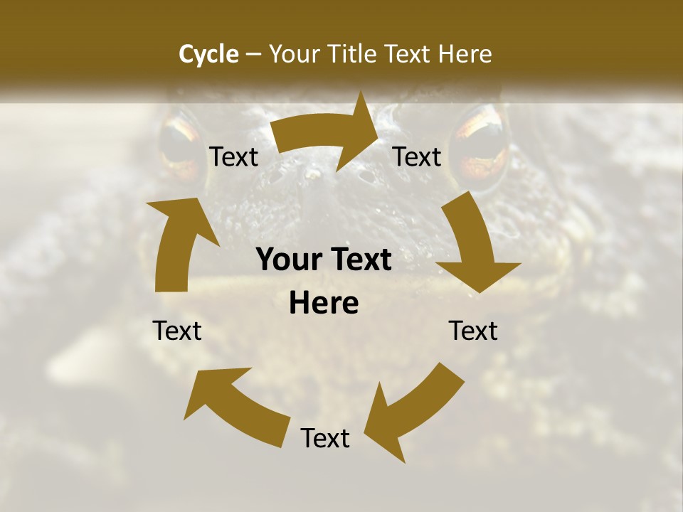 Single Water Caucasian PowerPoint Template