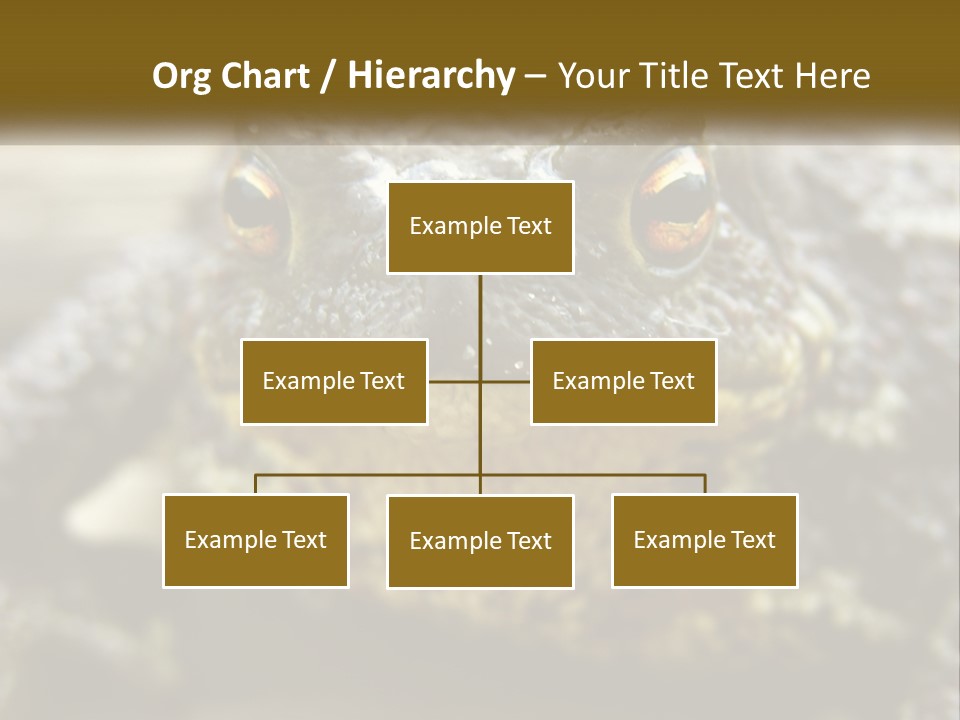 Single Water Caucasian PowerPoint Template