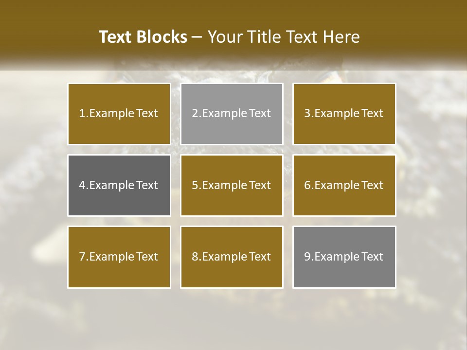 Single Water Caucasian PowerPoint Template