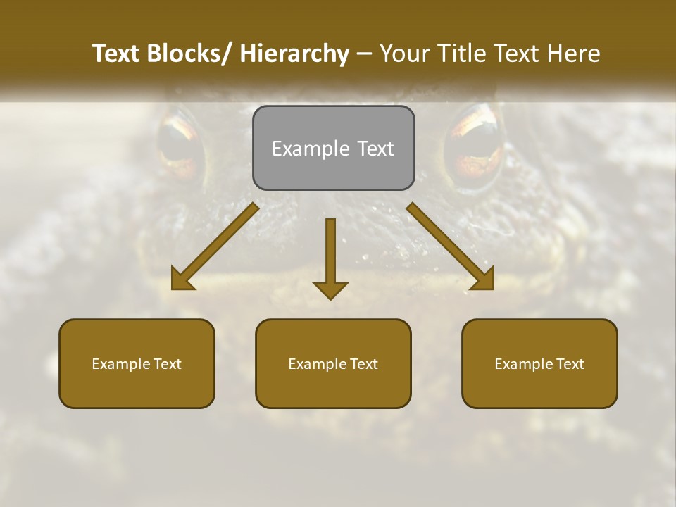 Single Water Caucasian PowerPoint Template