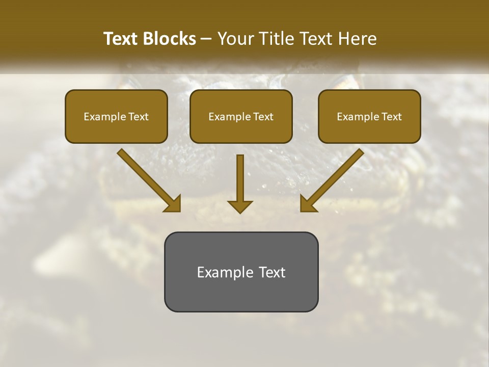 Single Water Caucasian PowerPoint Template