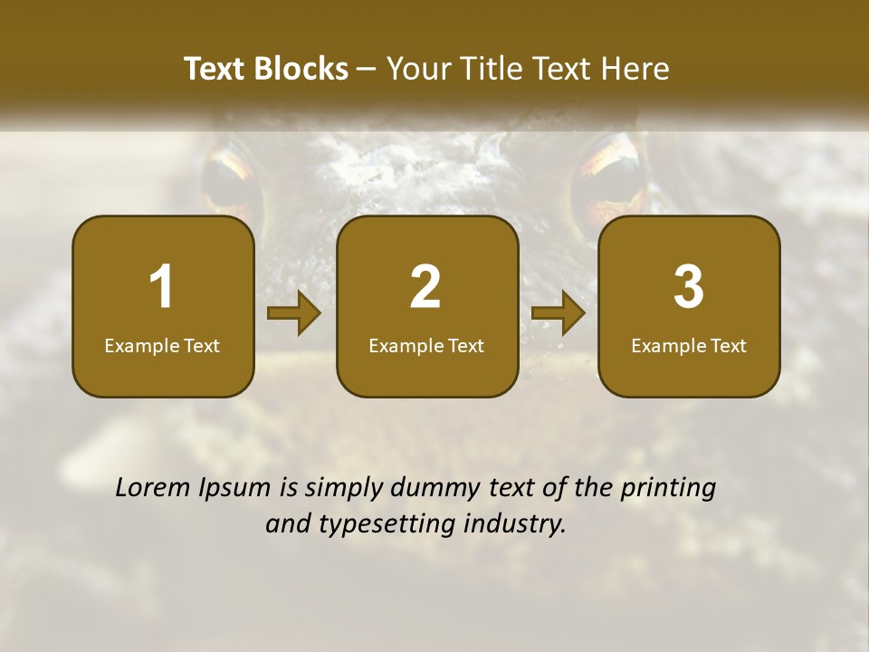 Single Water Caucasian PowerPoint Template