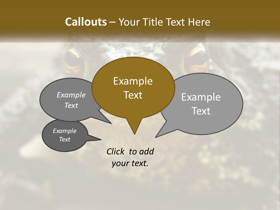 Single Water Caucasian PowerPoint Template