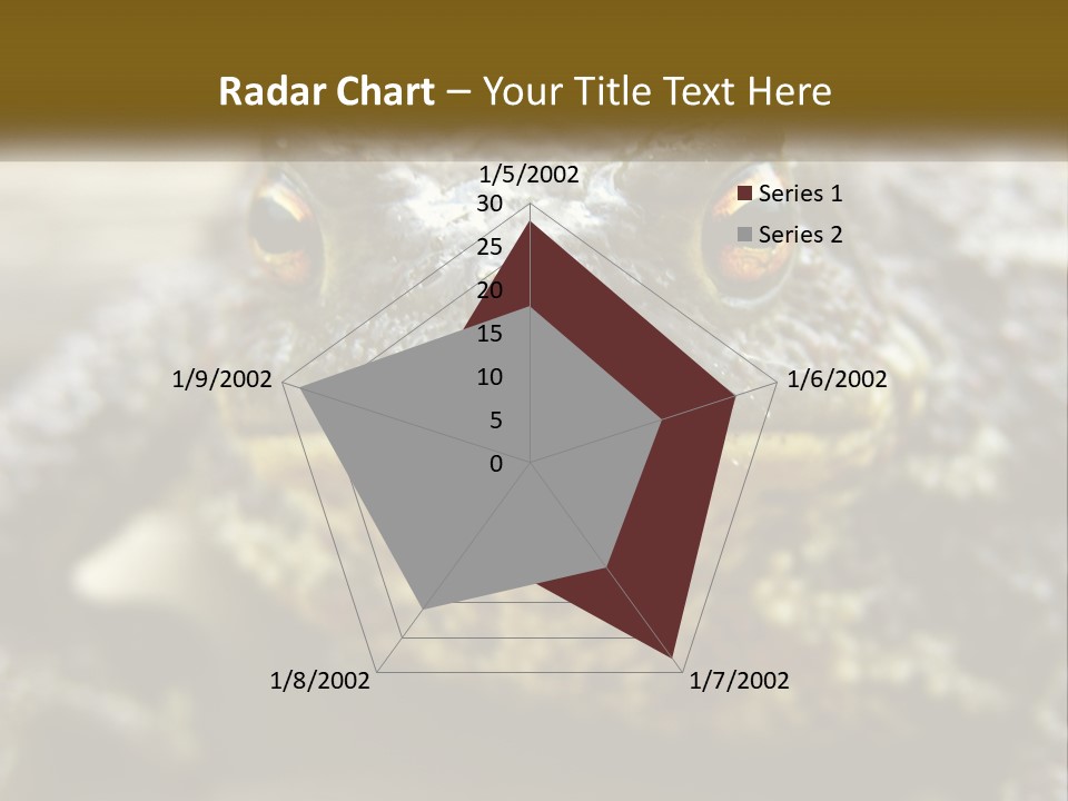 Single Water Caucasian PowerPoint Template