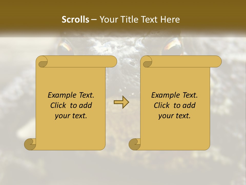 Single Water Caucasian PowerPoint Template