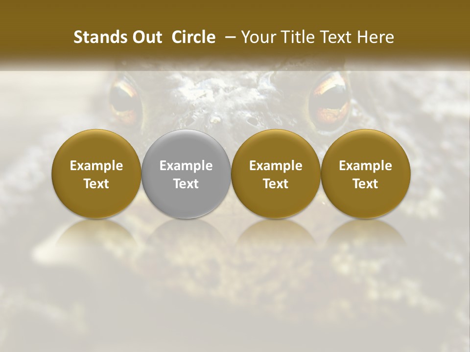 Single Water Caucasian PowerPoint Template