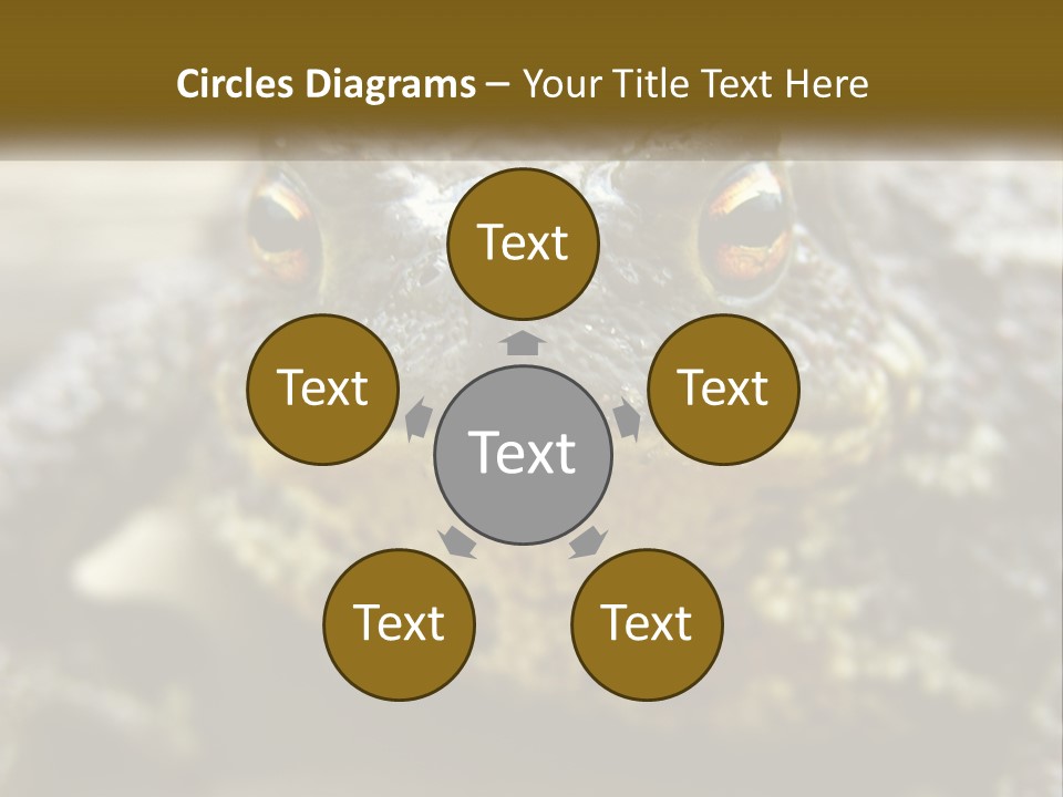 Single Water Caucasian PowerPoint Template