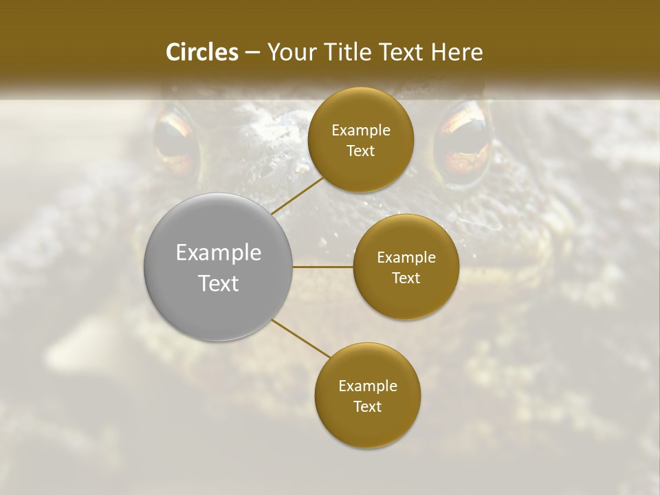 Single Water Caucasian PowerPoint Template