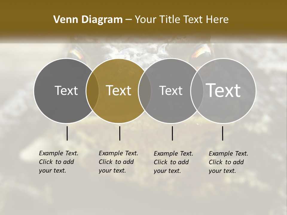 Single Water Caucasian PowerPoint Template