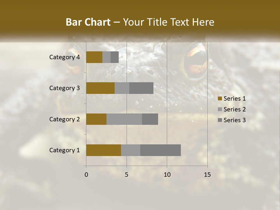 Single Water Caucasian PowerPoint Template