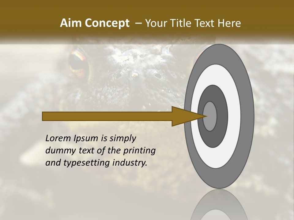 Single Water Caucasian PowerPoint Template