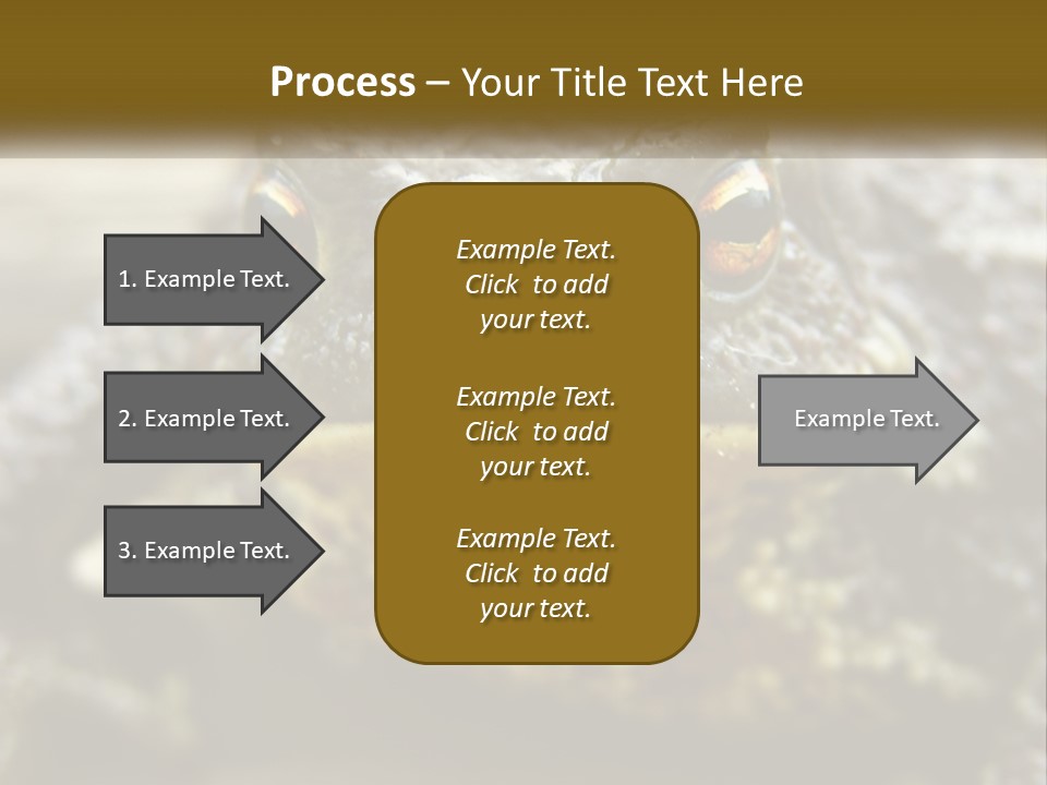 Single Water Caucasian PowerPoint Template