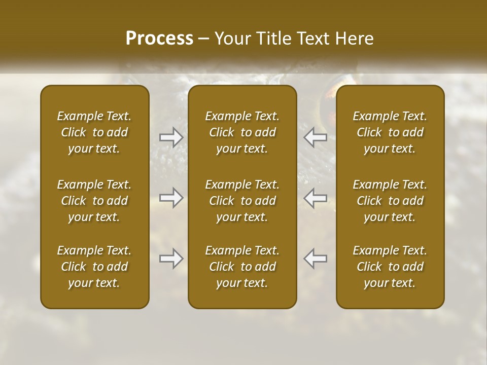 Single Water Caucasian PowerPoint Template