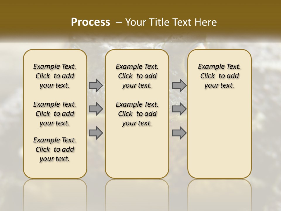 Single Water Caucasian PowerPoint Template