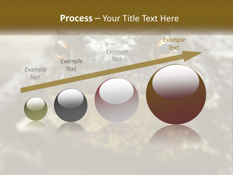 Single Water Caucasian PowerPoint Template