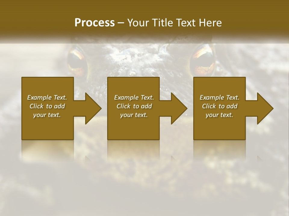 Single Water Caucasian PowerPoint Template