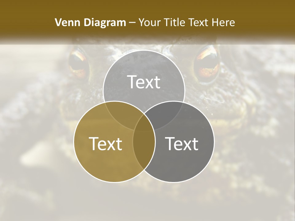 Single Water Caucasian PowerPoint Template