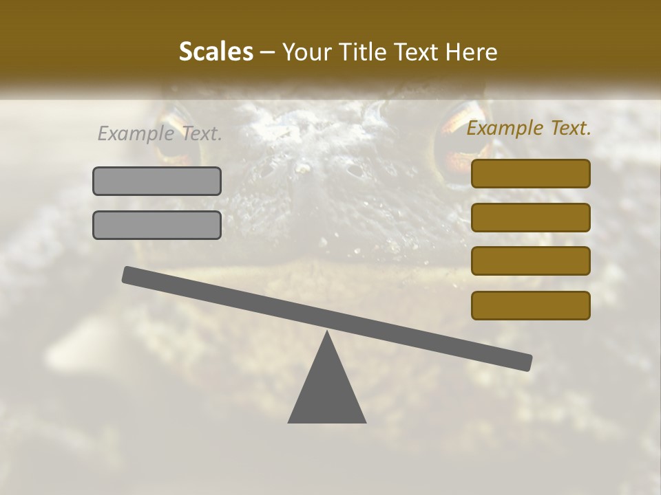 Single Water Caucasian PowerPoint Template