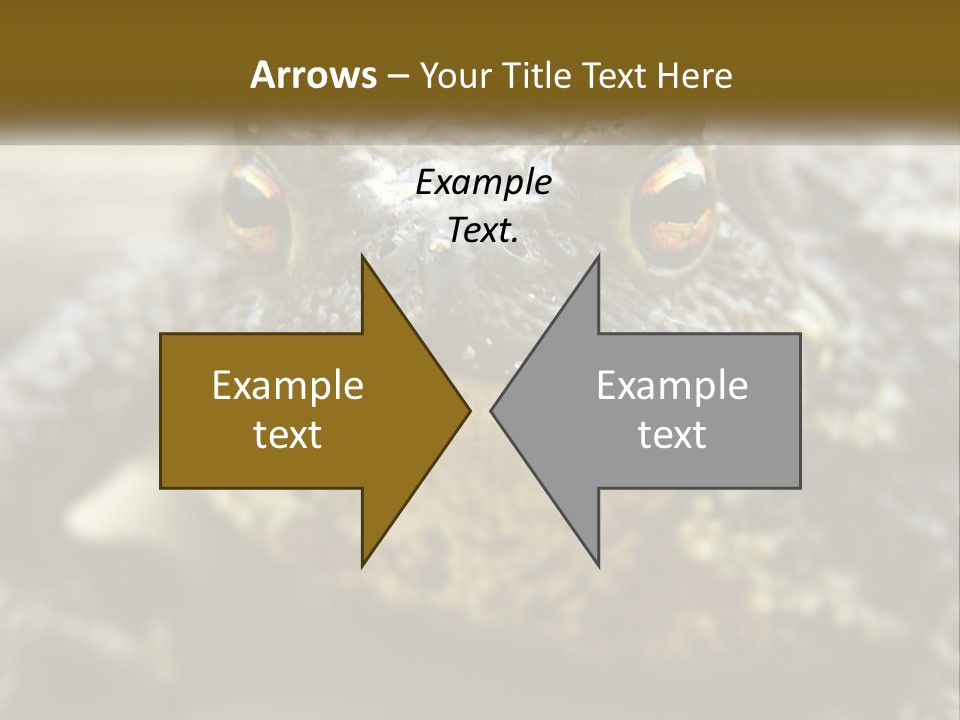 Single Water Caucasian PowerPoint Template