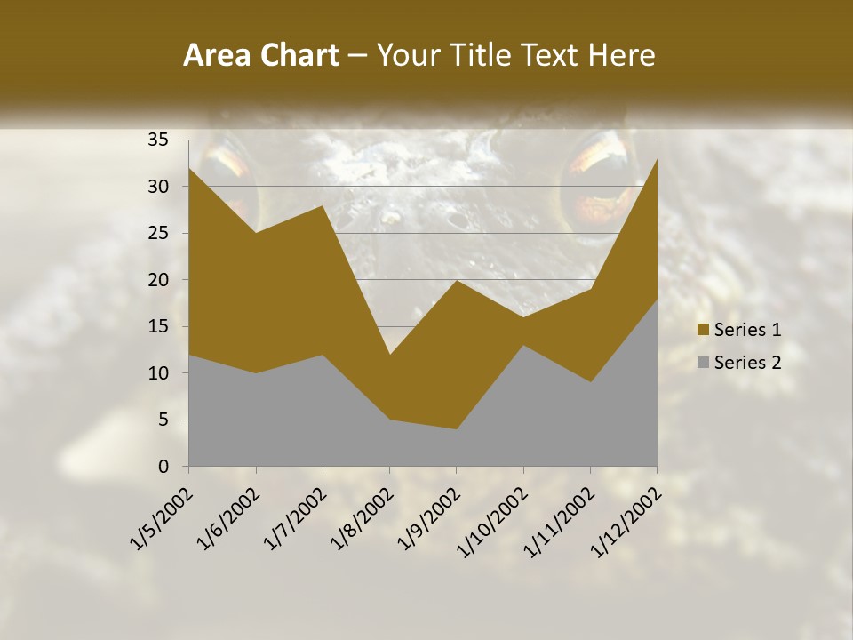 Single Water Caucasian PowerPoint Template