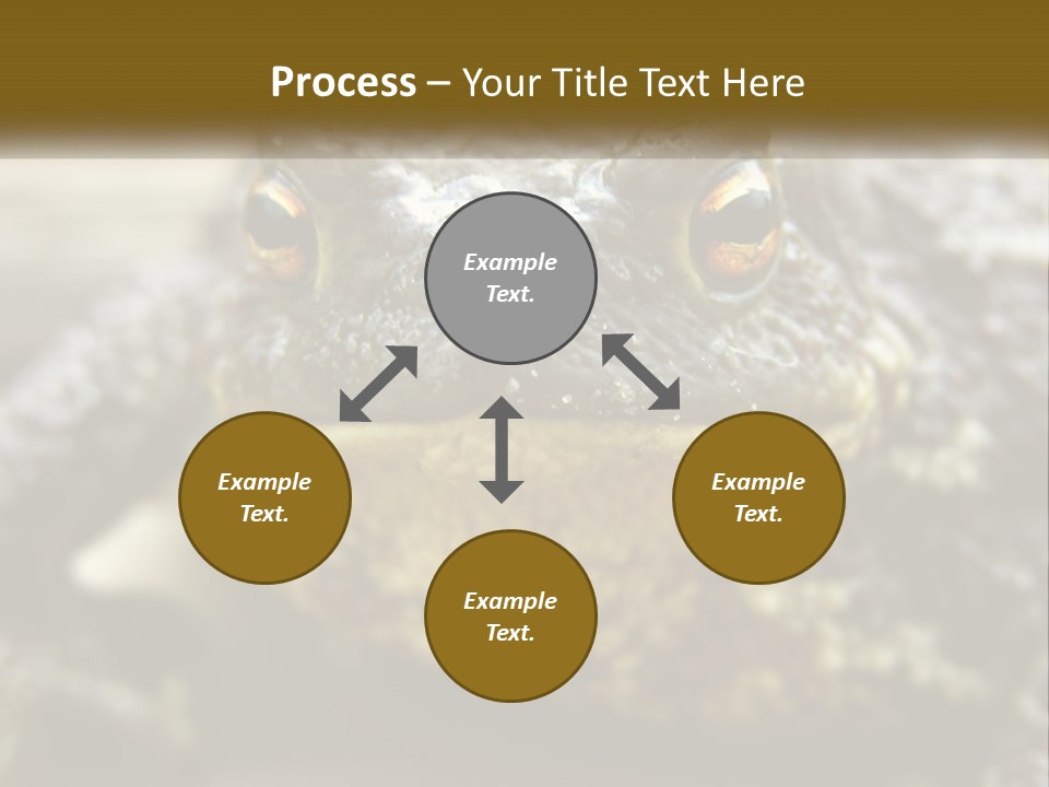 Single Water Caucasian PowerPoint Template