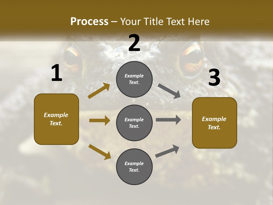 Single Water Caucasian PowerPoint Template