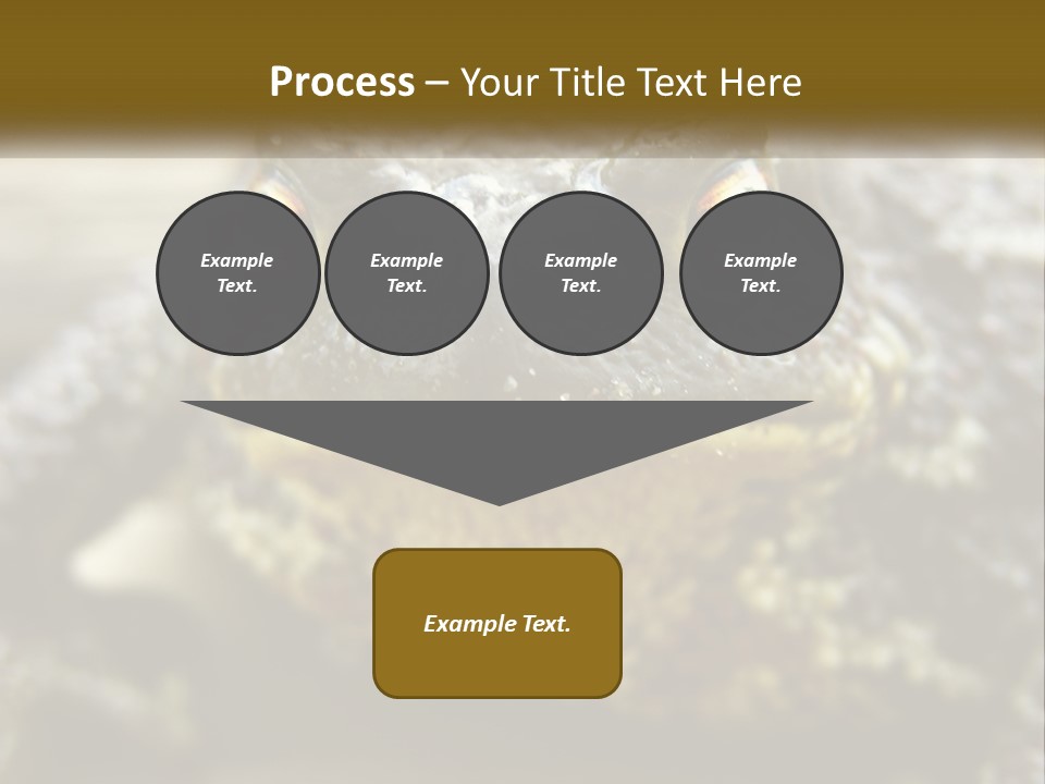 Single Water Caucasian PowerPoint Template