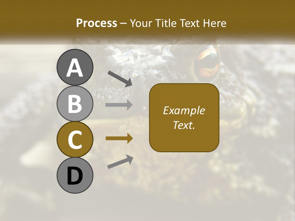 Single Water Caucasian PowerPoint Template