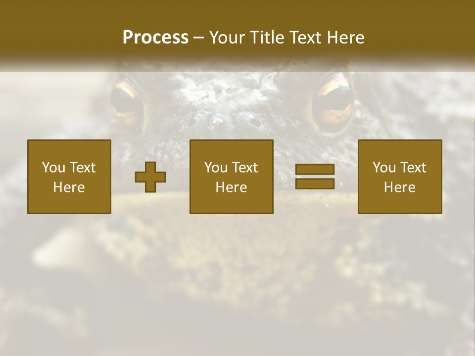Single Water Caucasian PowerPoint Template